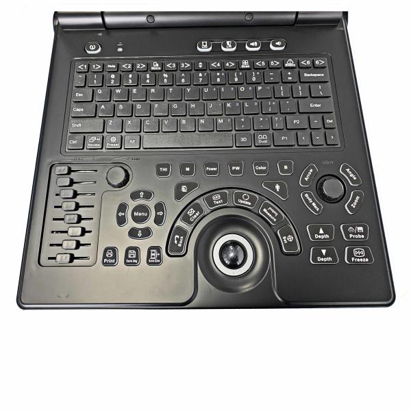 OEM Portable 3D Veterinary Ultrasound Machine For Clinical Hospitable