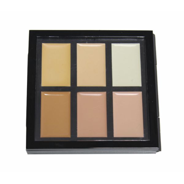 Высокие палитра Консеалер цветов определения 6 для метки частного назначения и продолжительный