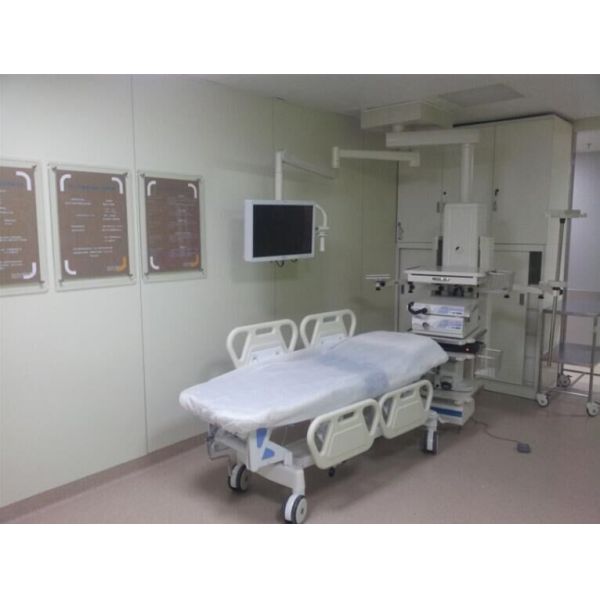 Vertical Medical Ceiling Pendant Hospital Arm Device 80mm