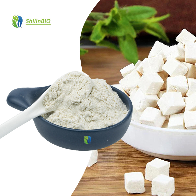 High Quality 10:1 20:1 Poria Cocos Extract Powder Food Grade Mushroom Extract
