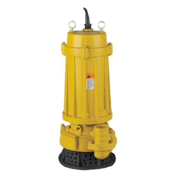 Stainless Steel Non Clogging Submersible Sewage Pump Station 220V