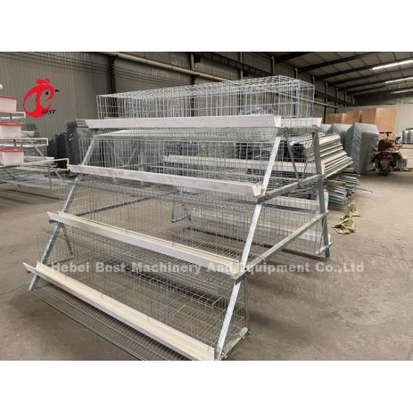 Feeding Trough Of Chicken Poultry Farming Cage System In Nigeria Ghana Zambia Cameroon Farm Doris
