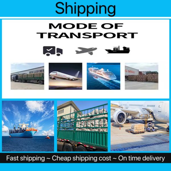 Césped de gato de bentonita esférica sostenible gris 100% de arcilla natural Césped de gato