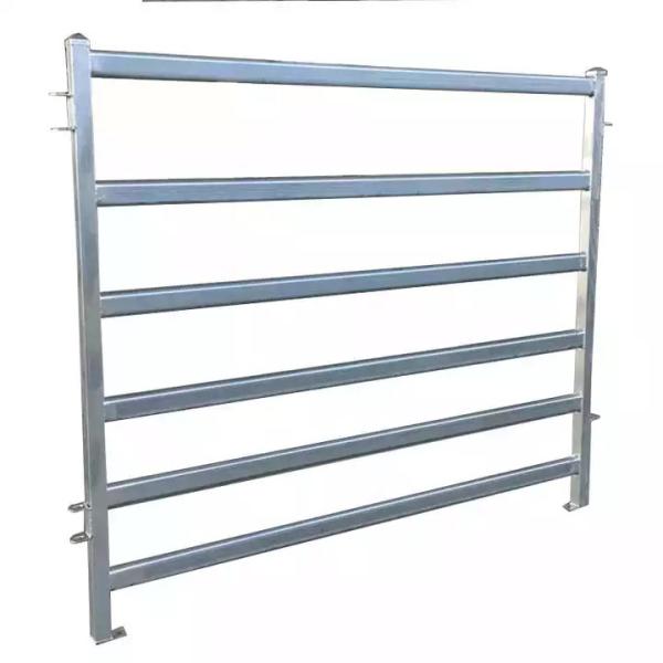 A exploração agrícola galvanizada cavalo de Austrália que cerca o cavalo galvanizado que cerca a cerca soldou