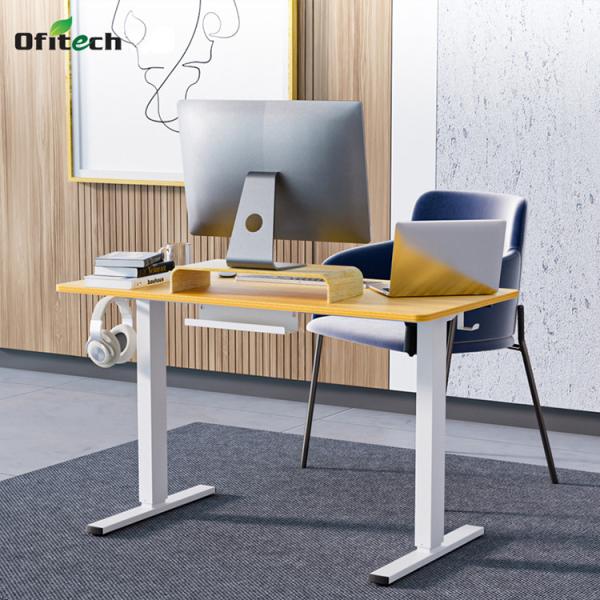 Office Furniture Modern Luxury Electric Adjustable Desk for CEO Sit-Standing Study Table