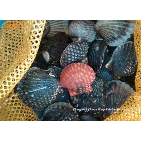 Клетка фермы 560 Rpm ловя сетью машину производства рыболовной сети моноволокна нейлона