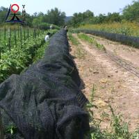 30gm-300gm HDPE Nette d'ombre solaire Serre Jardin de légumes