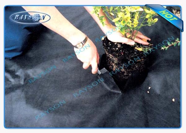Customized 50gsm Black Non Woven Landscape Fabric 100% Fresh PP