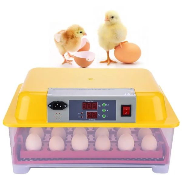 Equipped 24 Mini Turntable Automatic Incubators For Chicken And Bird Egg Care