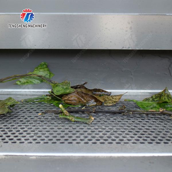 Citrus cleaning production line Fruit Orange Wash Washer Washing Cleaning Dryer processing production Machine