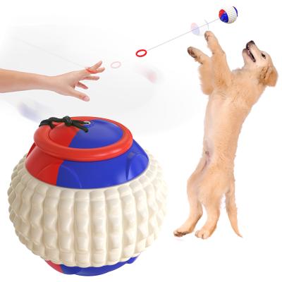 Mão que joga o OEM interativo da bola 80g do treinamento do cão dos dentes do molar dos brinquedos do animal de estimação
