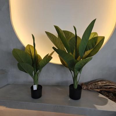 Material plástico duradouro Plantas artificiais 70cm Árvore Dieffenbachia artificial