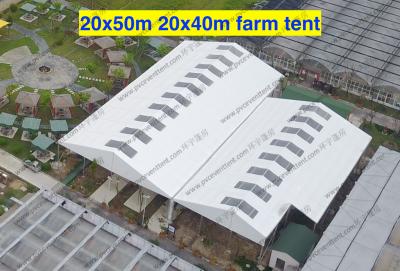 Wind Resistant Transparent Party Tent Temporary Use Large With PVC Sidewalls