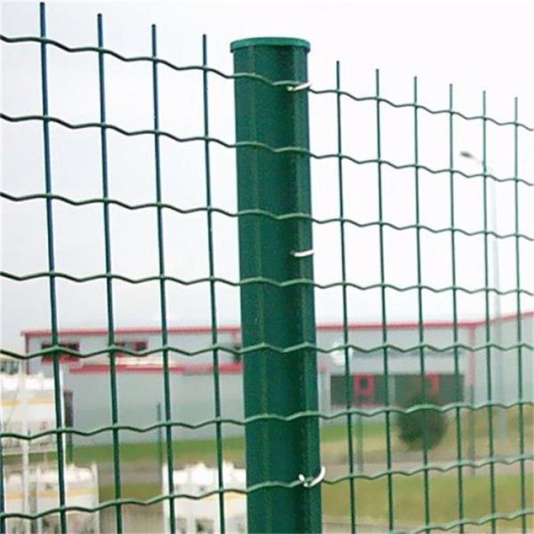 5-50m Lenghth BWG12 PVC Welded Wire Mesh Rolls For Rabbit Cages Chicken Coop