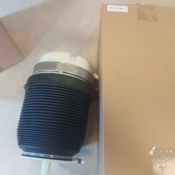 Rear Left Air Suspension Shock Absorber for A6 Allroad Quattro(C6/4F Chassis) Rear Left Rear Right Parts