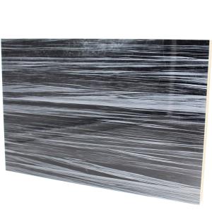 Panneau de mur en bois acrylique de grain de forces de défense principale de
