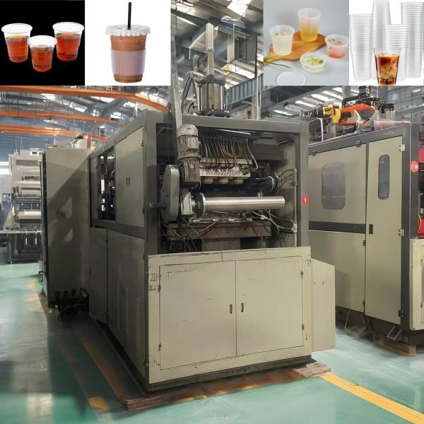 Machine de fabrication de tasses en plastique PP/PS, machine de thermoformage de tasses en plastique avec une surface de formage de 660*300 mm