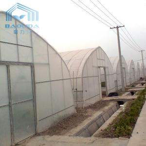 Парник тропического тоннеля пяди парника Sawtooth креста полиэтиленовой пленки верхнего одиночного пластиковый