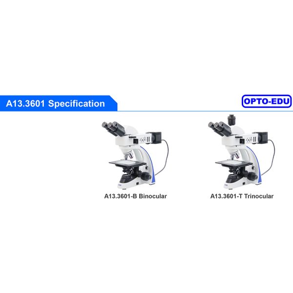 OPTO EDU A13.3601 Binocular Metallurgical Microscope Transmit And Reflect Light