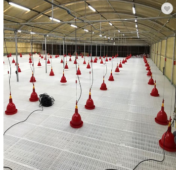 Настил предкрылка птицы доски навоза цыпленка пластиковый