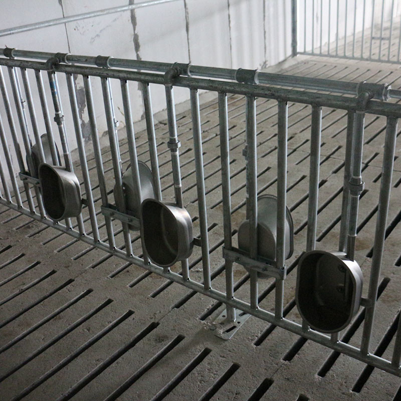 100 сельскохозяйственное оборудование Piggery ручки свини 2.4*0.6m