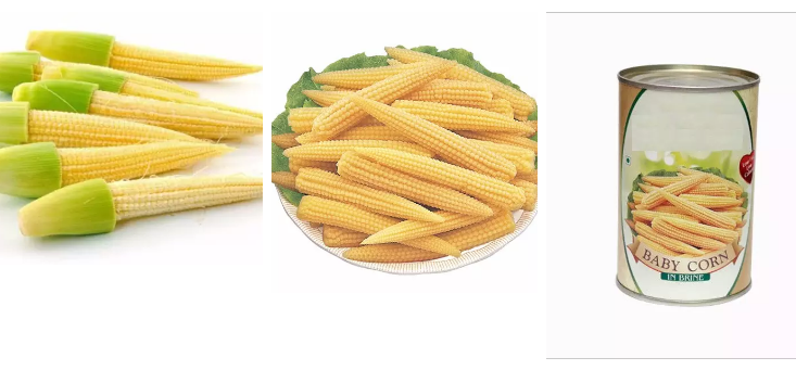 Слезли овощи законсервированных плодов 454g законсервировали мозоль младенца в рассоле