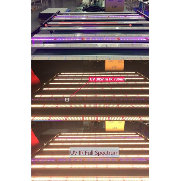 Samsung LM281B Plant Led Grow Lights 660nm 730nm 960w 1000w For Grow Tent