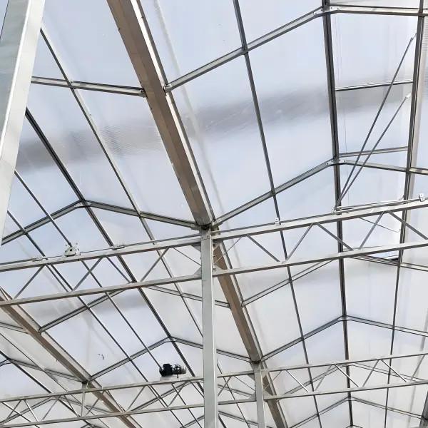 Polycarbonate Venlo Greenhouse for Tomato Substrate Culture