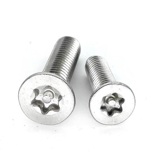 Stainless Steel Flat Torx Head Screw