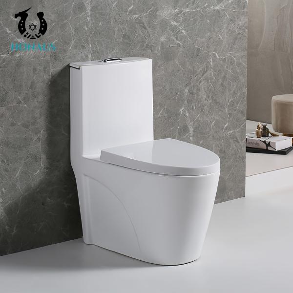 Premium Ceramic One Piece Toilet Bowl Luxury Dual Flush Floor Mounted Hotel House