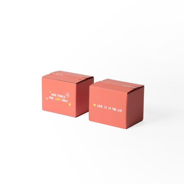 Logo personnalisé Carton ondulé Boîte de messagerie fermeture à glissière Boîte d'emballage pour vêtements alimentaires