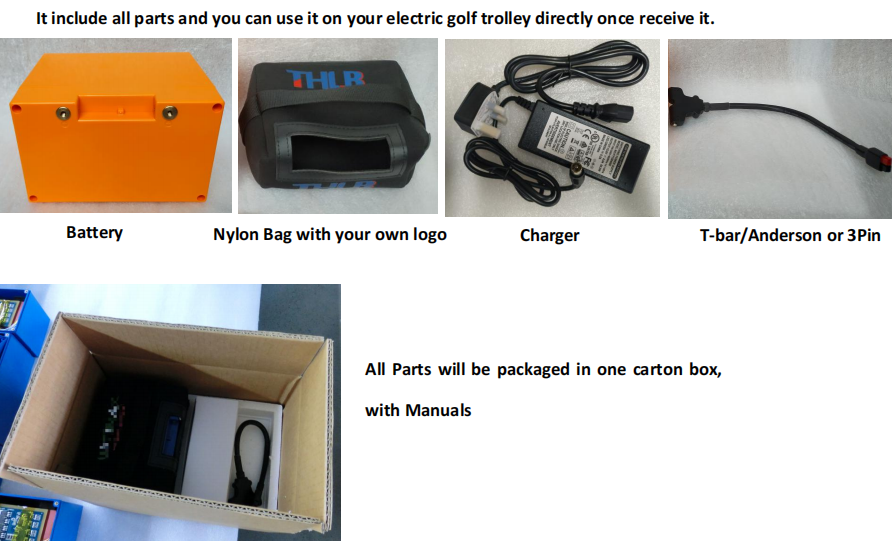 OEM ODM Golf Trolley Battery 2000 Times Rechargeable Lifepo4 Battery 12V 16AH