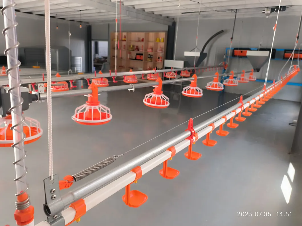 PP Material Automatic Poultry Feeding System Labor Saving For Chicken Care