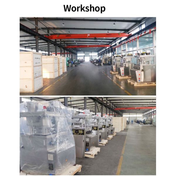 ZP-29D Pill Press Machine Tablet Press Medicine Mass Production 75000 Pcs/H