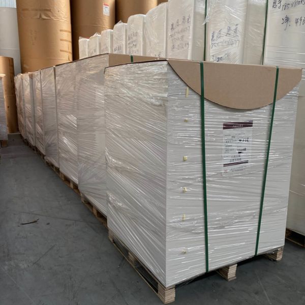 China Factory Wholesale Custom Designed PE Coated Paper Sheet for Making Paper Cups