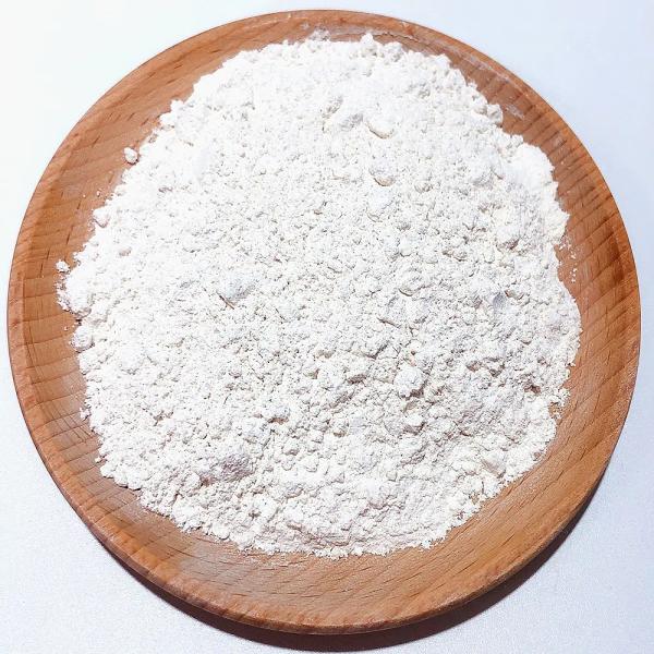 Industrial Production Magnesium Sulfate Monohydrate Essential Nutrient for Plants and Catalyst