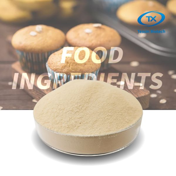 Nutritional Yeast Protein Extract Powder Functional Ingredient For Baking