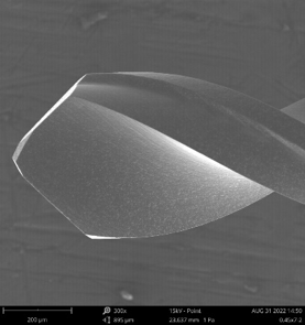 Составной керамический буровой наконечник Пкд микро- сверля твердость ф0.451мм высокая