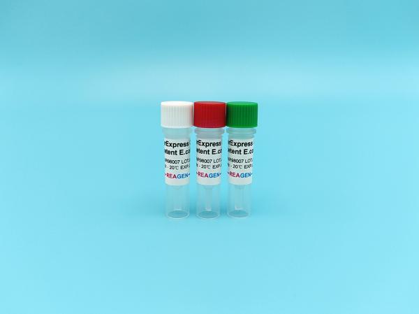 OverExpress C43 Competent E. Coli 48/96 Tests/Kit For PET Series PGEX PMAL Proteins