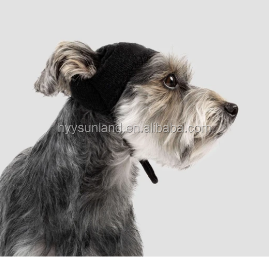 Y-Z Wholesale custom logo designer knitted adjustable winter warm funny dog skull hat