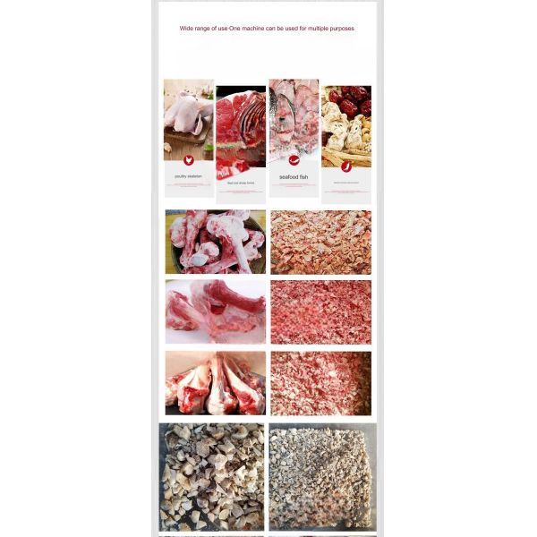 Large Animal Bone Crusher Machine Meat Grinder for Food Processing within Your Budget