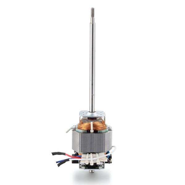 High Torque 110v 220v 100w 200w 300w AC Electric Motor for Treadmill Machine 10000rpm