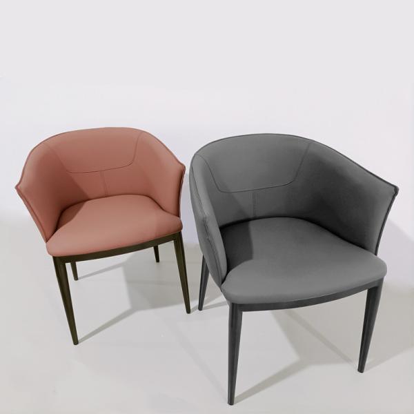 Elegant Curve Dining Chairs With Metal Base 730mm Height Sturdy