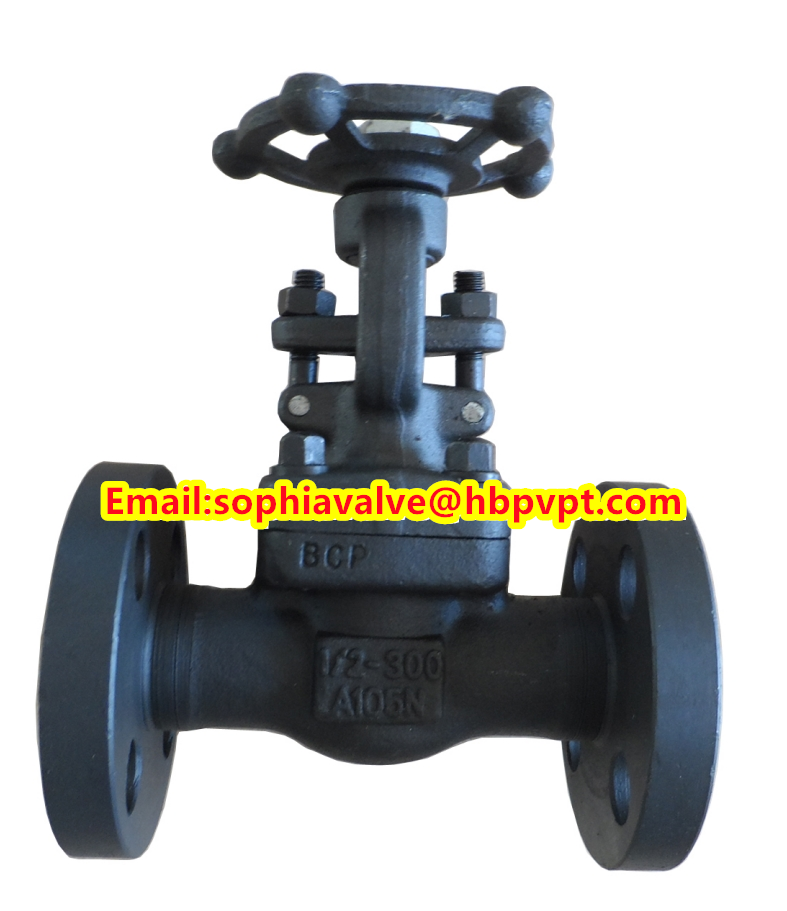 ANSI A105N forged gate valve
