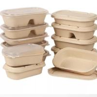 lancheira Compostable de 700ml 850ml 1000ml 100% para restaurante do hotel Unbleached