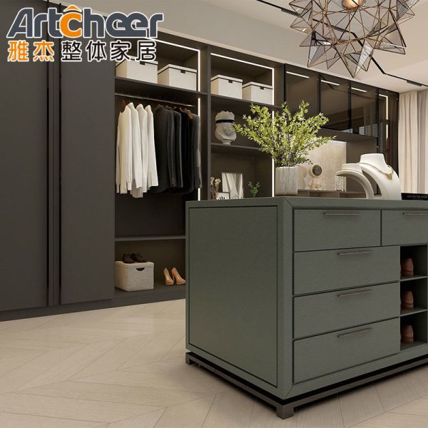 Modern Walk-in Wardrobe with Aluminium Handle Minimalist Design and Glass Door for Bedroom
