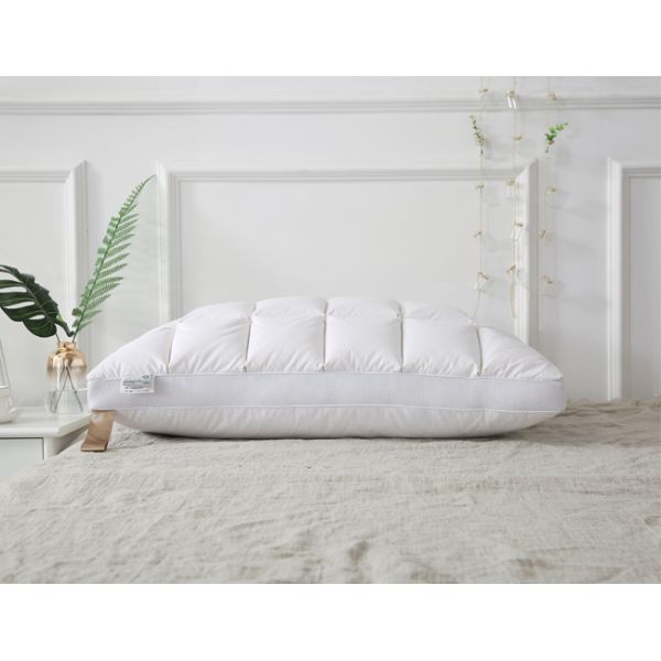 Goose Down 240G 48cm*74cm Goose Feather Down Pillow