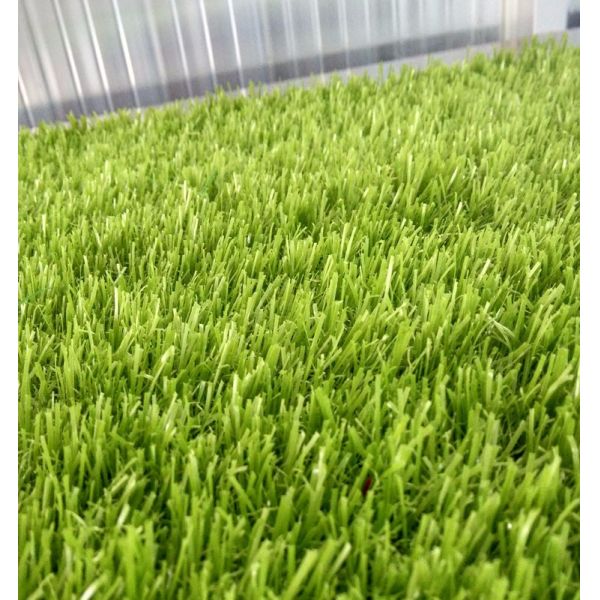 20mm Artificial Ornamental Grass 16800 Density Villa Housetop Garden Support