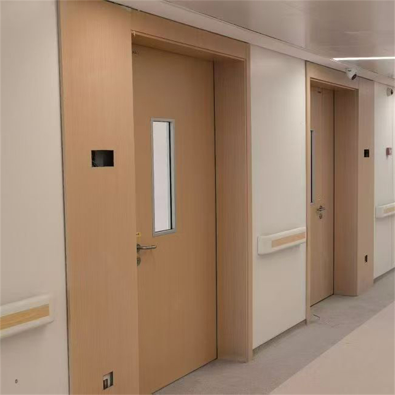 Customized Size Cleanroom Door Modern Steel Clean Door Popular Smart Door For Industrial Cleanrooms