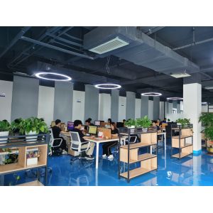 Shenzhen Wenhui Technology Development Co., Ltd.